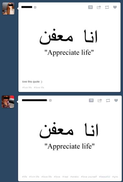 The wrong Arabic translation for "appreciate life"